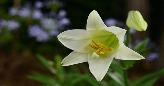 Biblical-Women,-Lenten-Longing,-and-21st-Century-Lives